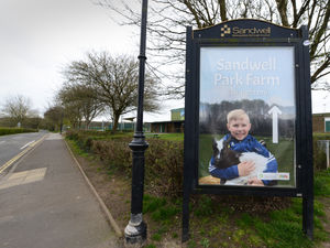 Supporting image for story: Warning to dog owners after second incident at Sandwell Valley Country Park