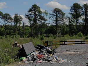 Supporting image for story: Letter: Shropshire becoming a rubbish dump