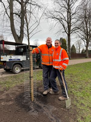 Shrewsbury Town Council staff with one of the new trees.