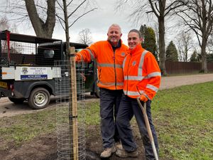 Supporting image for story: Replacement trees for Shrewsbury's Quarry taking root