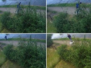 Supporting image for story: Savage beating of dog at canalside caught on camera prompting appeal - WATCH