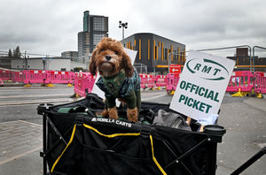 Kellogg, the RMT mascot, shows his support for the strikers outside Wolverhampton railway station