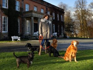 Supporting image for story: Shropshire hall ready for Sir Cliff 