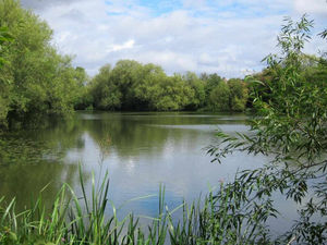 Supporting image for story: Broomhall brushes his rivals aside in Hagley