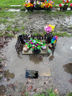 Pics sent in
Permission for use for LDR partners 