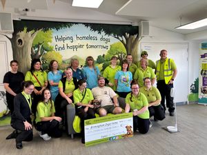 Supporting image for story: Birmingham Dogs Home visited by 'Dogpool' as hundreds raised for charity