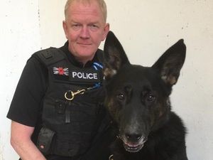 Supporting image for story: Statue to celebrate dog handlers and their four-legged colleagues