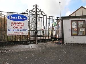Supporting image for story: Rescue centre in Walsall still monitored for dog sales