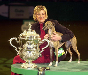 Deedee the whippet, with her owner Lynne Yacoby-Wright of Mellor at the 101st Crufts in 2004