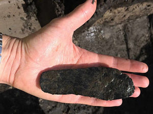 Supporting image for story: Archaeologists unearth Roman remains in Whitchurch