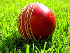 Supporting image for story: Shropshire CCC escape with a draw from clash at Wales