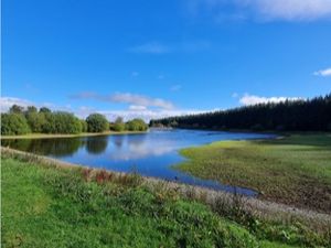 Supporting image for story: Woodland walk to see Santa and raise money for charity