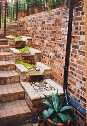 The plant at Hilary's previous home.