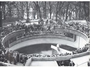 Supporting image for story: Dudley Zoo photos show colourful past
