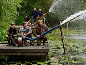 Supporting image for story: Rescue effort to save prized carp from being wiped out at Shropshire lake