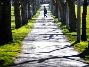 Supporting image for story