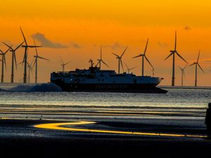 Supporting image for story: Government's new climate plan inadequate, says Shropshire Green Party 