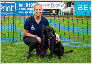 The canine carnival (pic Lions/David Cooper)