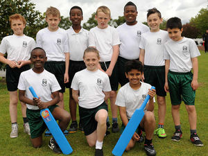 Supporting image for story: Primary school children swat up with the bat
