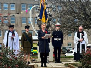 Supporting image for story: Remembrance marked at county hospitals