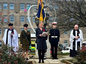 Supporting image for story: Remembrance marked at county hospitals