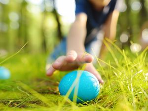 Supporting image for story: Spring into celebrations at Lilleshall with Easter events for the whole family