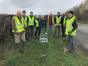 Supporting image for story: Calls for Shropshire roadsides to be left uncut to help plants and wildlife