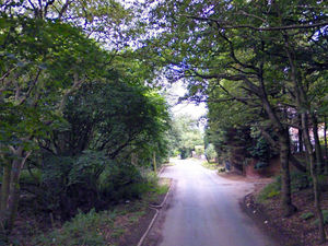 Supporting image for story: Kidderminster man, 22, arrested over body in road