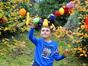 Supporting image for story: Woolly woodland creatures abound at Attingham Park this half term