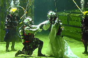 Supporting image for story: Deeply in love - bride and groom take the plunge