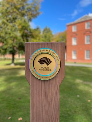 The plaque unveiled at the school