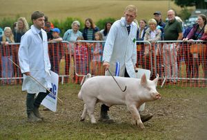 Burwarton Show