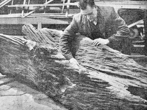 Supporting image for story: Old log lay on river bank near Market Drayton for four years before being revealed as an ancient treasure 100 years ago