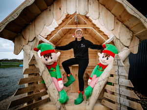 Supporting image for story: Shropshire wedding venue vows to save Christmas with Covid-safe party cabins