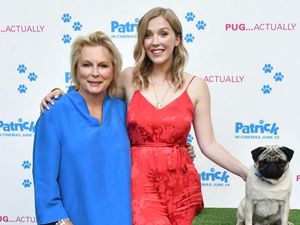 Supporting image for story