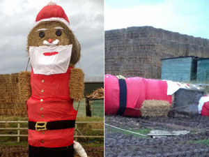 Supporting image for story: High winds cause damage and cancels events across West Midlands