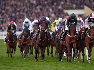Runners and riders on day four of the 2025 Cheltenham Festival (Bradley Collyer for the Jockey Club)