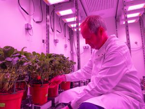 Supporting image for story: UK university builds new lab to help develop climate-resilient plants