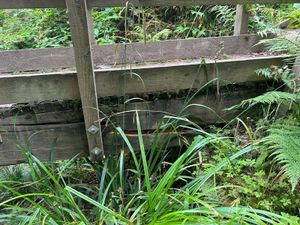 Photo: Severn Gorge Countryside Trust