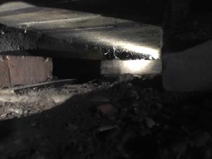 The space where the terrier was trapped. Photo: @SFRSWellington