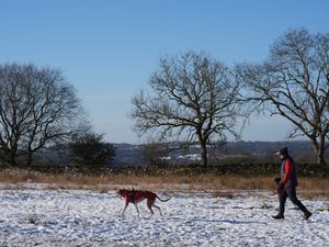Supporting image for story: Met Office issues yellow warnings for snow in parts of Scotland