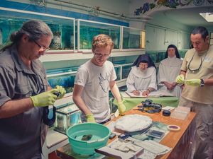 Supporting image for story: Chester Zoo working with nuns in Mexico to save a rare breed of amphibian