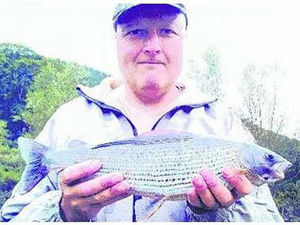 Supporting image for story: Angler ate his record-breaking fish