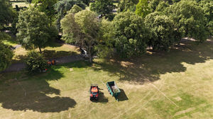 The tree has been removed from The Quarry. Picture: Shrewsbury Town Council