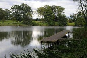The Great Pool