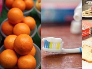 Supporting image for story: How much of these 12 things would it take to kill you?