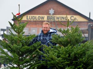 Supporting image for story: New owners of plant nursery near Ludlow celebrate first festive season selling Christmas trees