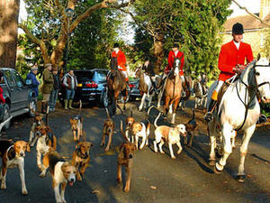 Supporting image for story: Spectators cheer as hunt riders trot out
