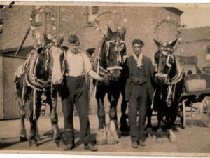 Supporting image for story: Historic Black Country haulier names new trucks after four-legged fleet