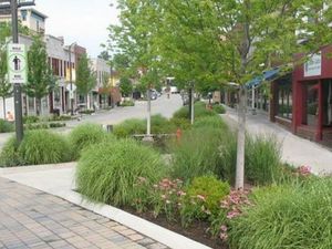 Supporting image for story: Planners recommend green light for controversial Oakengates redevelopment scheme